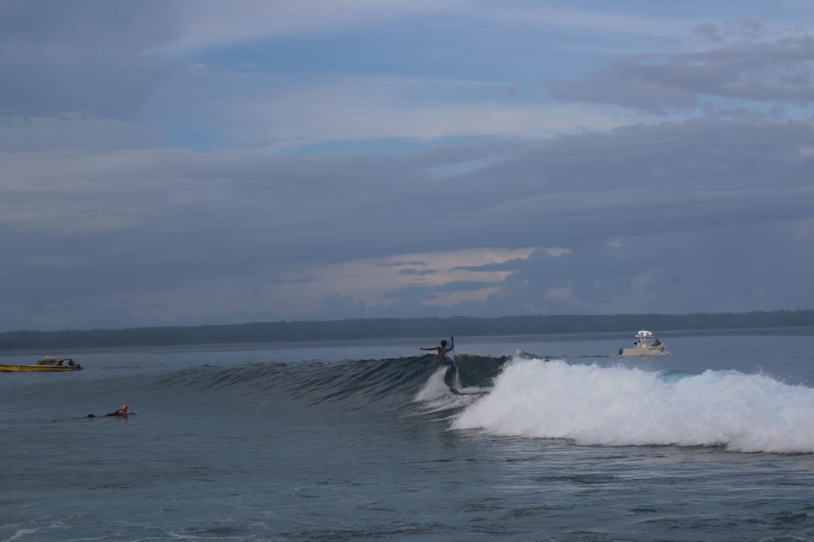Beng-beng in the Mentawai Islands